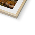 image11