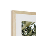 image11
