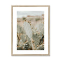 image11