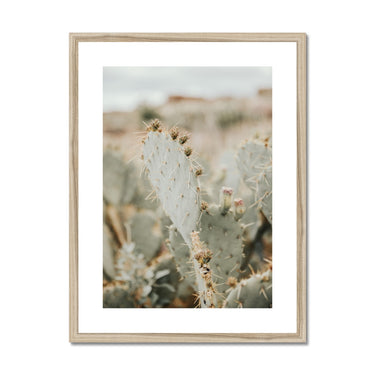 image11