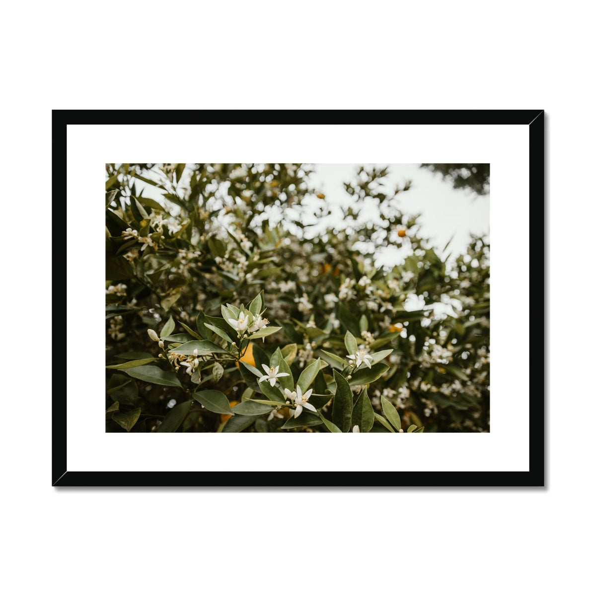 image15