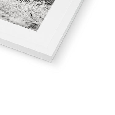 image10