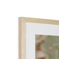image11