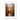 image10