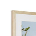 image11