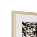 image11
