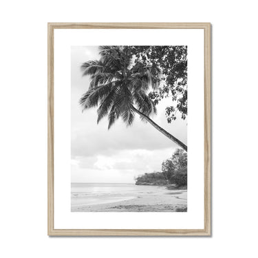 image11
