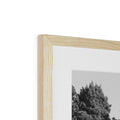 image11