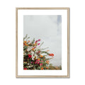 image11
