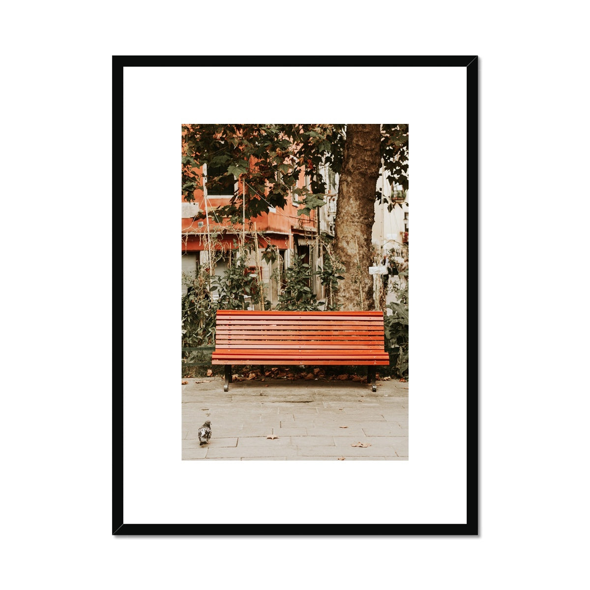 Bench in Venice Framed Print