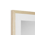 image11