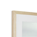 image11