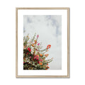 image11