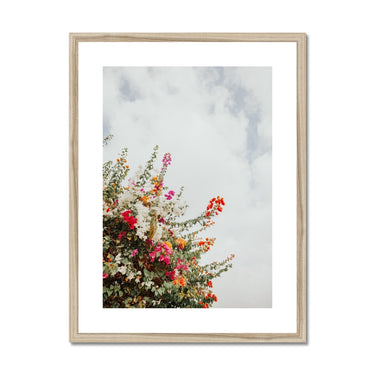 image11