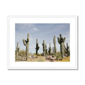 image10