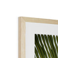 image11