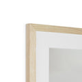 image11