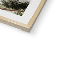 image11