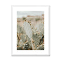 image10