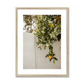 image11