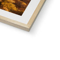 image11