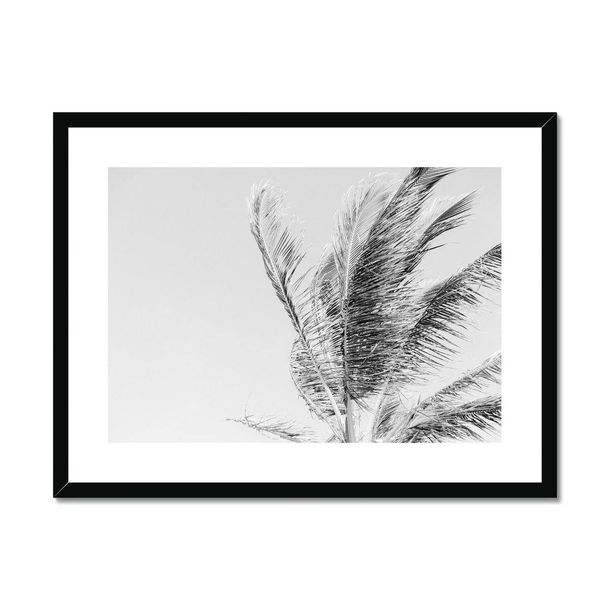 image9