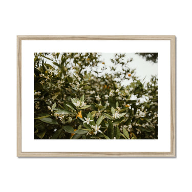 image17