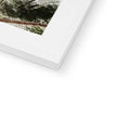 image10