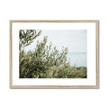 image11