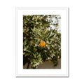 image10