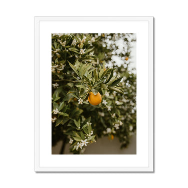 image10