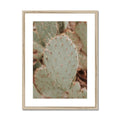 image11