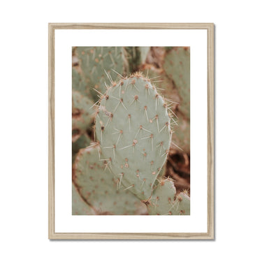 image11
