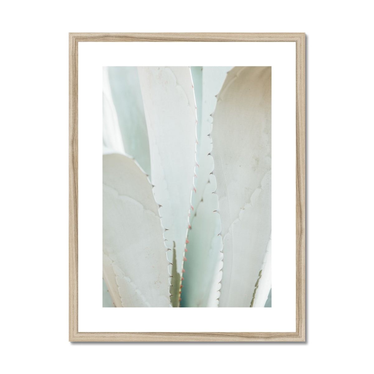 Botanical No. 5 Framed & Mounted Print