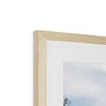 image11