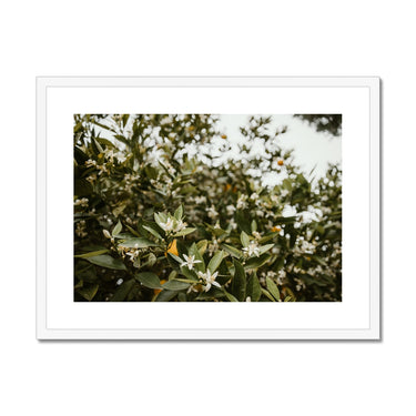 image16