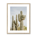 image11