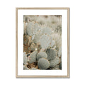 image11