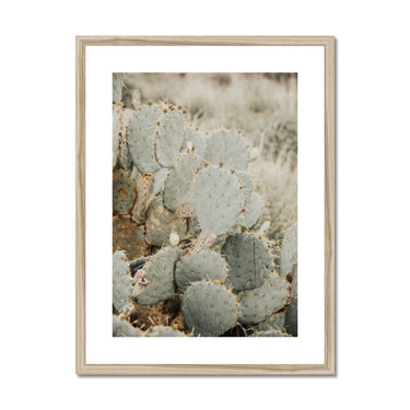 image11