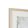 image11