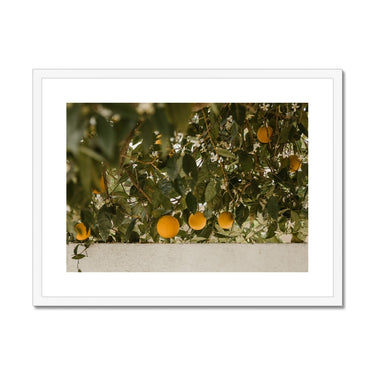 image10