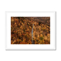 image10