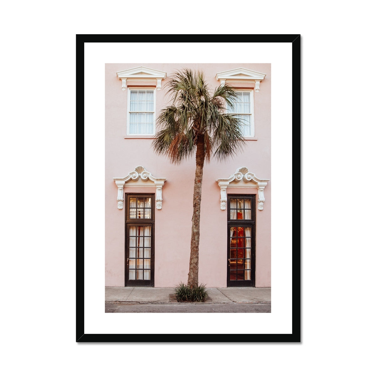 Lone Palm in Charleston  Framed & Mounted Print