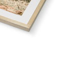 image11