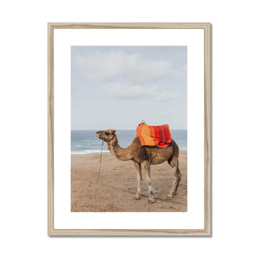 image11