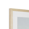image11
