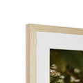 image11