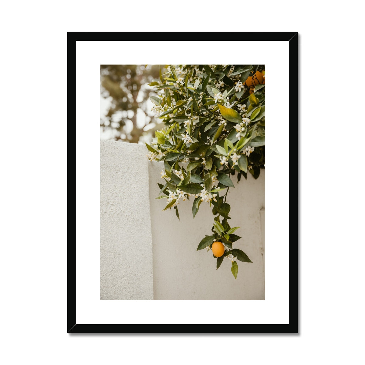image9