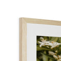 image11