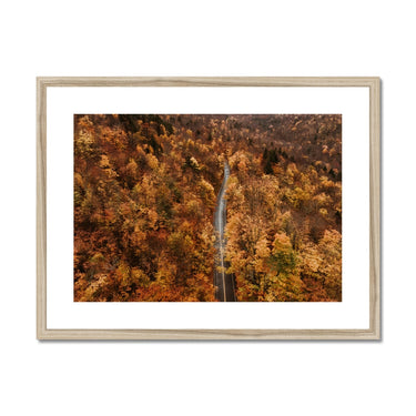 image11
